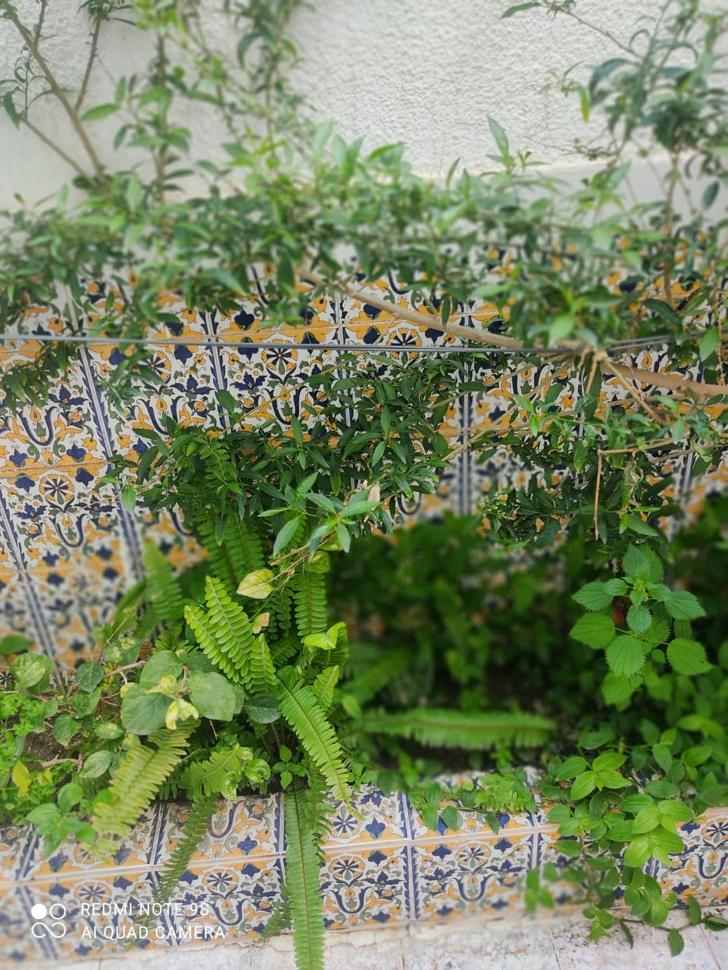Etage De Villa Avec Jardin, Pres De L'Aireport Et Parking Prive Ariana Eksteriør bilde